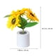 thumbnail image 4 of Lámpara LED de girasol simulada para dormitorio, lámpara decorativa de noche, luz cálida, 4 of 5