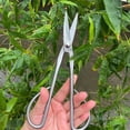 thumbnail image 4 of Gardening Pruning Shears Stainless Steel Branch Scissors, Sharp Durable Trimmer for Flowers Plants Trees, Ergonomic Comfortable Grip for Home Gardeners and Outdoor Plant Care, 4 of 6