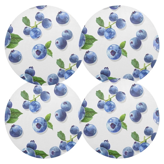 Ryvnso Blueberry Fruits Round Plate Mats Dining Table Placemat Set of 4 for Holiday Decoration