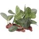 thumbnail image 1 of Plantas Artificiales Decoración Ornamento Submarino Verde Peces De Acuario Tanque Falso De Las Hojas Unique Bargains, 1 of 5