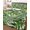 Sage Green, Emerald, variant on Quilt King Size Bedding Set, Monstera Palm Leaves Reversible Summer Quilt 3 Pieces, Summer Tropical Botanical Country Lightweight Bedspreads Coverlets with 2 Pillow Shams for All Seasons