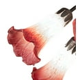 thumbnail image 2 of Meyda Tiffany 12243 Pink/White Tiffany Pond Lily 7 Light 24" Wide Chandelier - MultiColor, 2 of 7