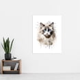 thumbnail image 4 of Grey Point Ragdoll Cat Blue Eyes Lovers Gift Watercolour Pet Portrait Painting Artwork Extra Large XL Wall Art Poster Print, 4 of 5
