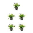 thumbnail image 1 of Decodeary Green Eco-friendly Artificial Money Tree In Pot Long-lasting Durability Realistic Appearance purple babysbreath 5Set, 1 of 6