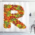 thumbnail image 1 of Ambesonne Letter R Shower Curtain, Floral R Maple Leaves, 69"Wx84"L, Multicolor, 1 of 3