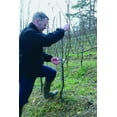 thumbnail image 5 of Summit Pruning Shears (F 17) - High Performance Swiss Made Left-Handed One-Hand Garden Pruner with Steel Blade, 5 of 16