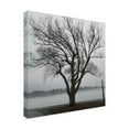 thumbnail image 2 of Clive Branson 'Tree In Fog II' Canvas Art, 2 of 3