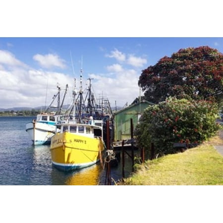 Fishing Boats Tauranga Harbor Tauranga New Zealand Stretched Canvas - David Wall  DanitaDelimont (26 x