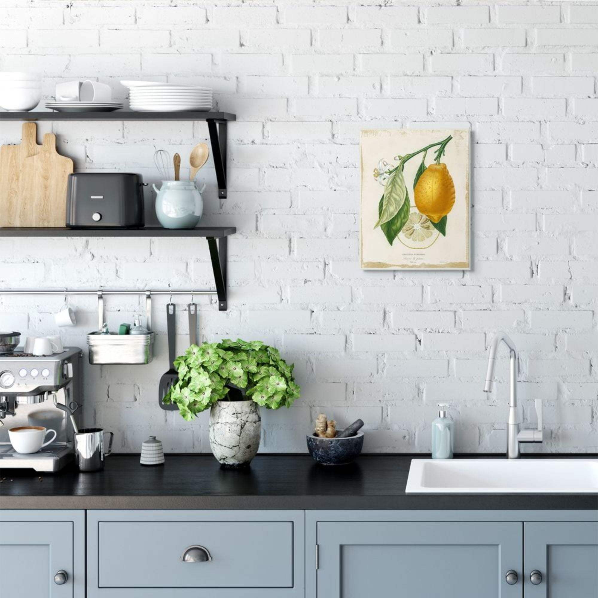 Stupell Industries Traditional Citrus Illustration French Lemon Branch Design by Studio W