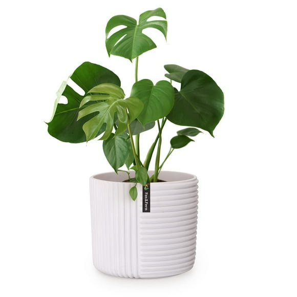 Fox & Fern Flower Pot, 12 Inch Pots for Plants, 12 Inch Plant Pots, White Planters for Indoor Plants - Fits Mid Century Modern Plant Stand - Drainage Plug - Polystone - Matte White - 12 Inch