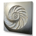 thumbnail image 2 of Designart "Shellfish With A Silver Swirl I" Nautilus Canvas Prints, 2 of 7