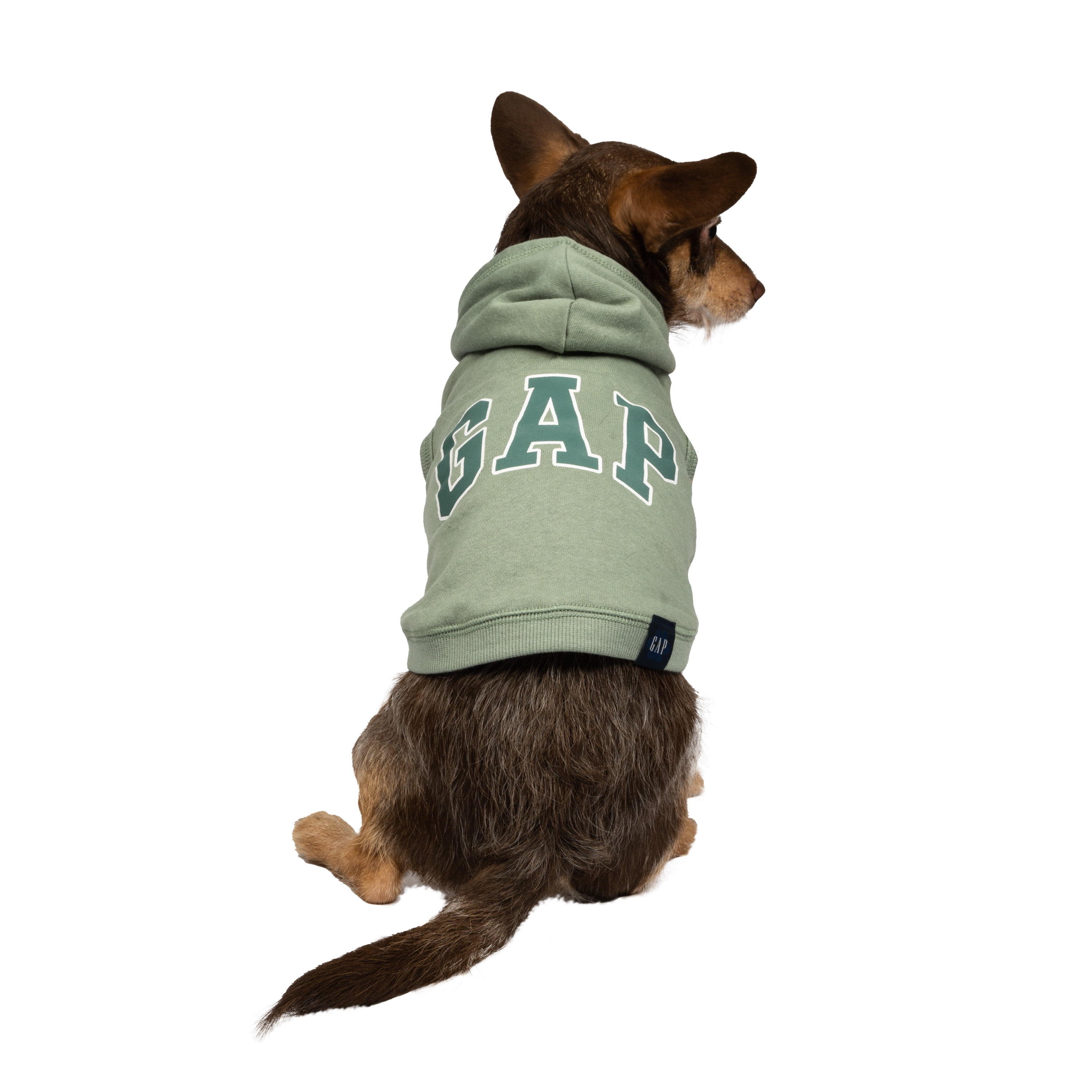 Gap Pet, Dog and Cat Clothes, Classic Logo Gap Pet Hoodie, Green