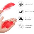 thumbnail image 7 of 600PCS Red Feathers, 3-4.7 inch Feathers Bulk for DIY Crafts Wedding Halloween Costume Party Decorations Dream Catcher Supplies, 7 of 7