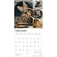 thumbnail image 4 of Cat Lovers | 2026 12x24" (Hanging) Square Wall Calendar | Plastic-Free, 4 of 9