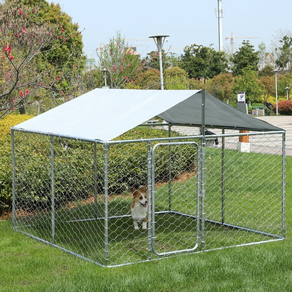 Outdoor Dog Kennels in Dog Kennels