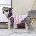 thumbnail image 6 of Cute Dog Camisole - Lace Edge Tank Top - Striped T-shirt Puppy Vest Shirt - Pet Clothes, 6 of 8