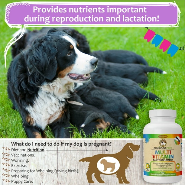 does my dog need prenatal vitamins