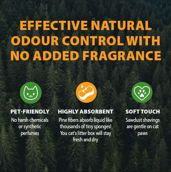 Litière pour chat naturelle non agglomérante Feline Pine Arm & Hammer, 9,07 KG, parfum naturel de pin, contrôle efficace des odeurs, sécuritaire pour les chatons Pin naturel