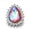 LWN03(4), variant on Lots Style Bling Crystal Chunk Charm Snap Button Fit 18mm Drill Snap Jewelry -LWN04(2)