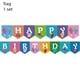 thumbnail image 5 of Suministros de decoración para fiesta de cumpleaños con temática de Blues Clues, vasos de papel, platos, servilletas, globos para baby shower, pistas de Blues, 5 of 5