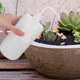 thumbnail image 1 of unbranded Botella De Lavado Transparente Con Boca Curva Para Preciso De Plantas Y Suculentas, 1 of 8