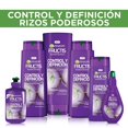 thumbnail image 4 of Shampoo Garnier Fructis control y definición rizos poderosos 350 ml, 4 of 4