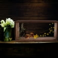 thumbnail image 3 of FUEENIRVA Dried Flower Display Case Photo Frame 1Set, 3 of 6