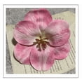 thumbnail image 4 of Nvzi 15 pieces - White & Dark Pink simulated tulip flower crown, 4.7x4.7 inches stemless, realistic textured petals, suitable for crafts, dining table centerpieces, and wedding decorations, 4 of 5