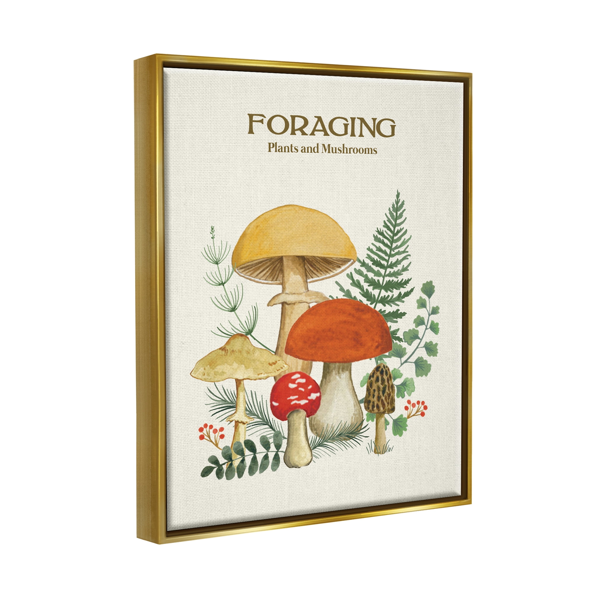 Stupell Industries Botanical Plants & Mushrooms Botanical & Floral Painting Gold Floater Framed Art Print Wall Art, 17 x 21