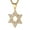 Gold, variant on HZMAN Magen Star of David Pendant Necklace Women Men Chain Silver Stainless Steel Israel Necklace (CZ Star of David Silver)