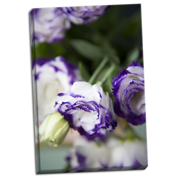 Gango Home Decor Contemporary Purple Tipped Floral II by Karyn Millet (Ready to Hang); One 16x24in Hand-Stretched Canvas