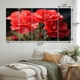 thumbnail image 4 of Designart "Carnations landscape IV" Floral Metal Art Print Set, 4 of 5