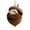 Bald Eagle, variant on Christmas Sleeping Animal Ornament,3D Resin Shell Tree Hanging Decoration,2.8In forest Themed Pendant for Home Holiday Party Decor & Festive Gift,Skunk