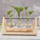 thumbnail image 3 of Jarrón para terrario, planta hidropónica, bonsái, marco económico, maceta, decoración para el hogar y la Oficina, suministros para el hogar, accesorios r, 3 of 8