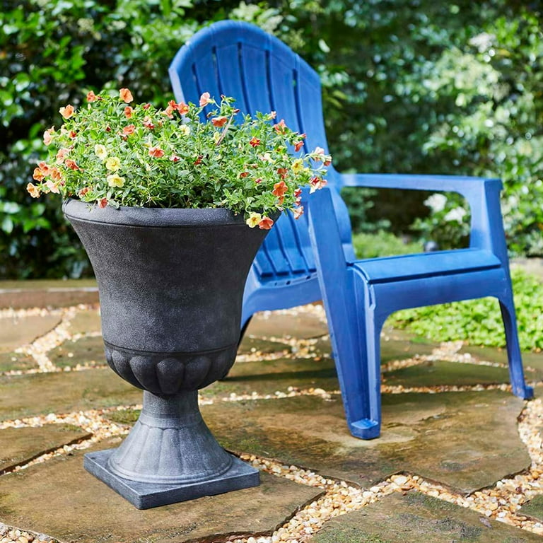 pot for zz plant ZZ plant in Designer pot – Crazyflora main image 0