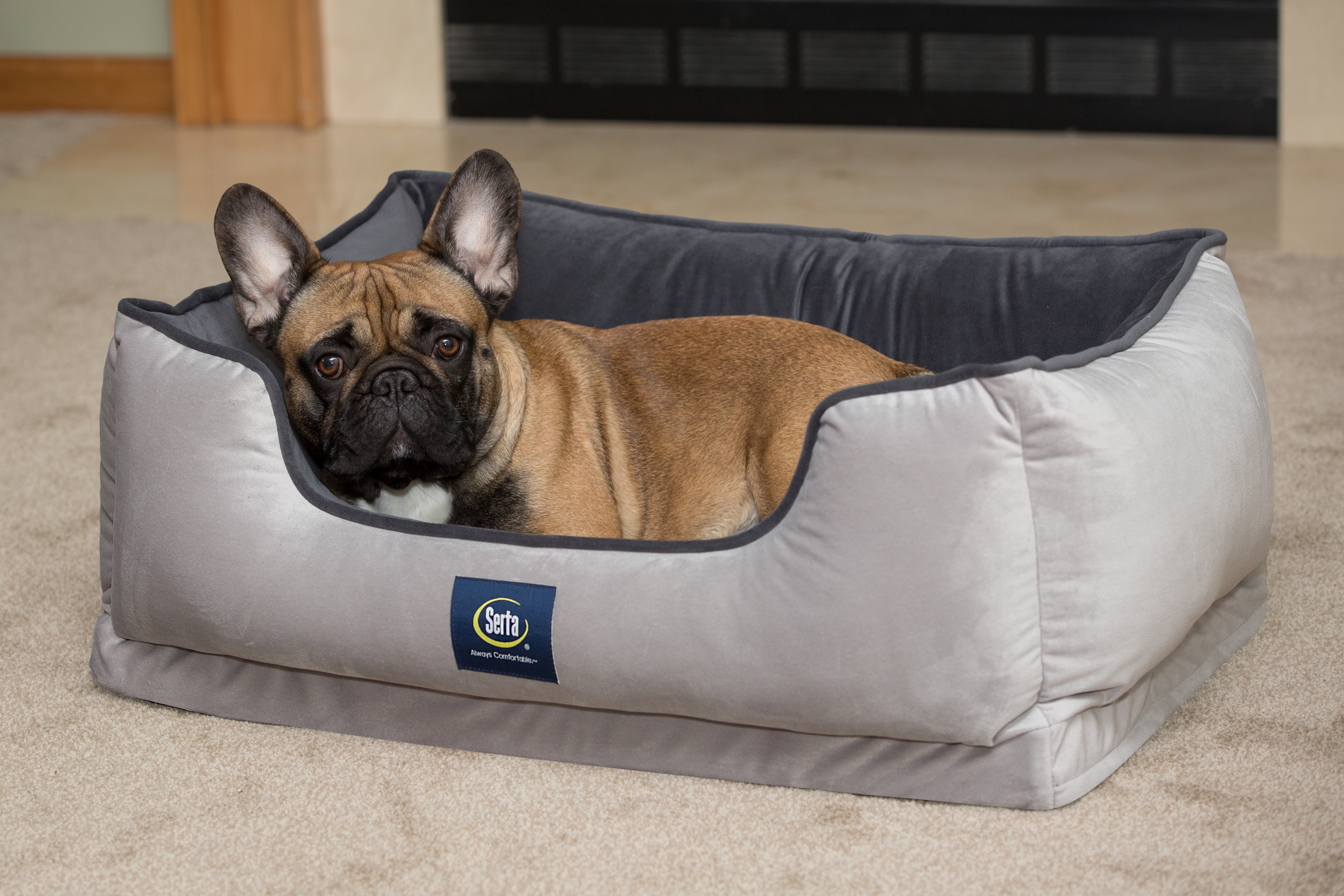Serta Ortho Cuddler Pet Bed, Large