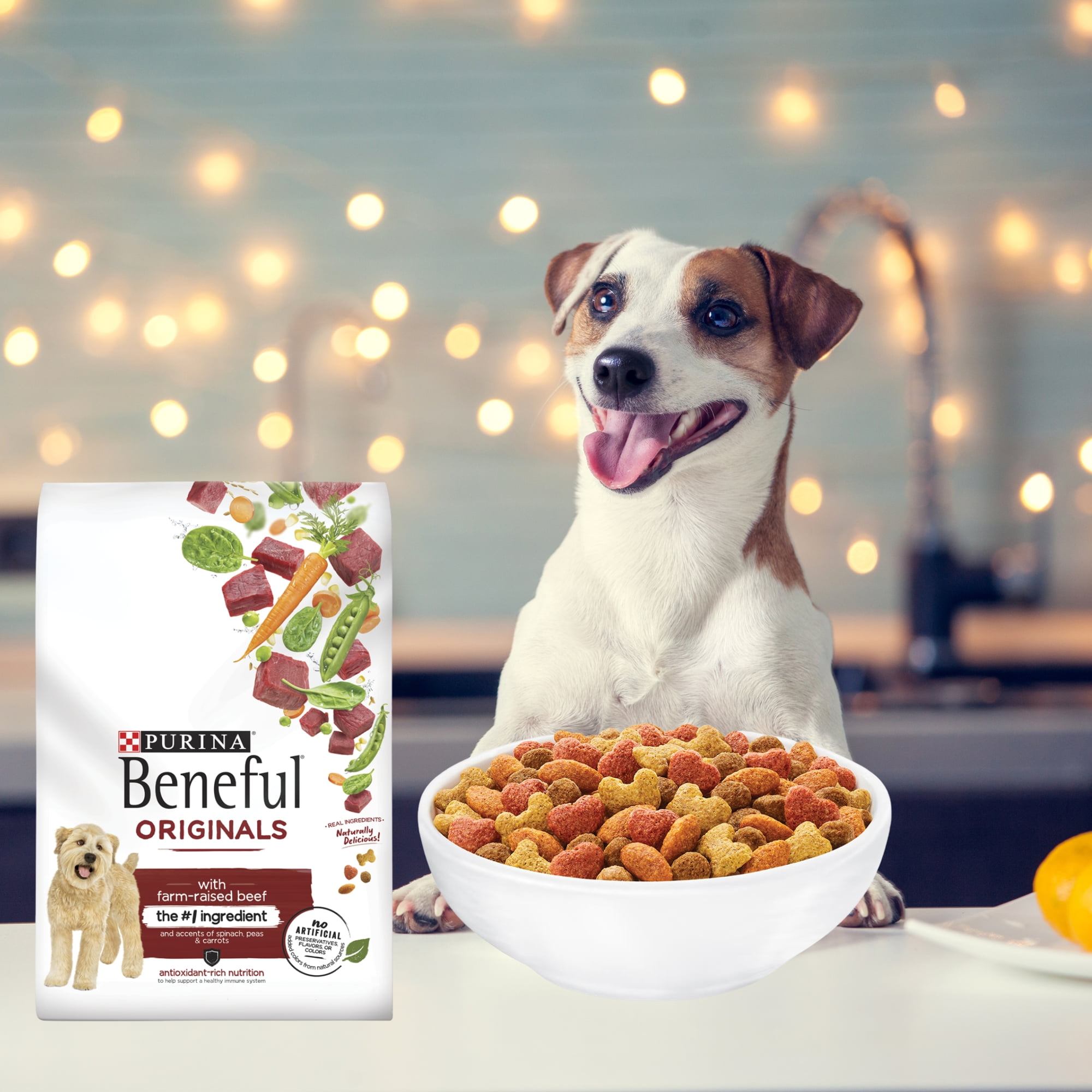 purina beneful originals with real beef reviews