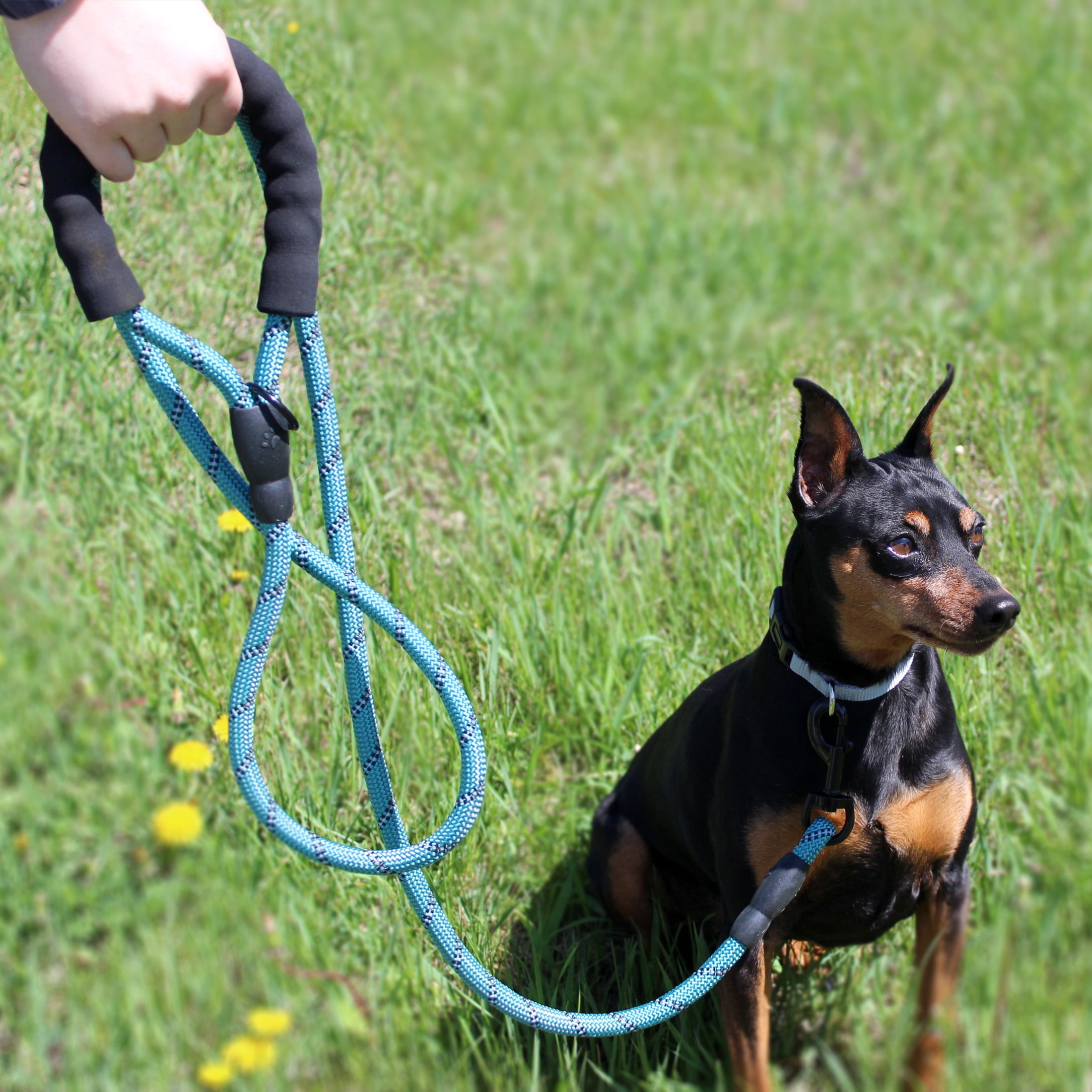 Vibrant Life 6' Neoprene Cushioned Rope Dog Leash, Teal