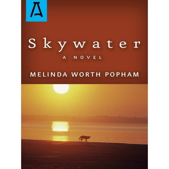 Skywater (Paperback)