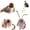 bird mouse cricket, variant on Gigwi Chirping , for Indoor Cats, Melody Chaser with Loop for Bored Indoor Adult Cats Kittens Interactive Play ()