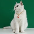 thumbnail image 2 of Mosey Good Pet Necklace Shiny Visual Effect   Birthday Gift   Decorative, 2 of 7