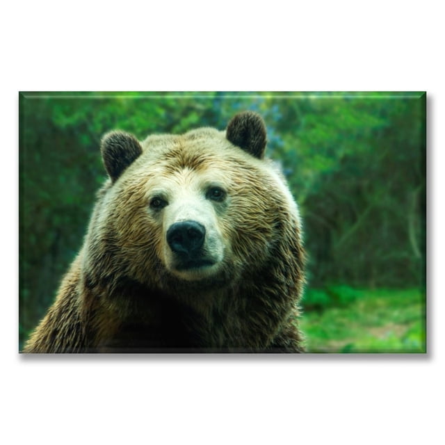 Cuadro Canva Listo Para Colgar Tipo Galería Oso Grizzly 60X90 cm