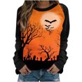 thumbnail image 1 of Tops casuales de cuello redondo de manga larga con estampado de Halloween para mujer Pompotops FGAJ4324, 1 of 4
