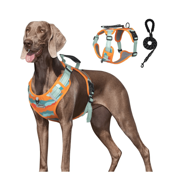 Xtellar Pechera Arnés De Seguridad Para Perro Chico Mediano Y Grande Talla M