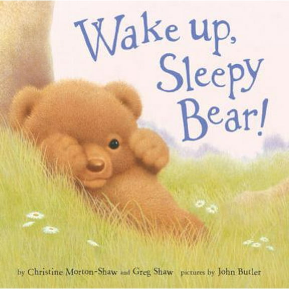 Pre-Owned Wake Up, Sleepy Bear (Hardcover) 0670061751 9780670061754