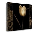 thumbnail image 2 of Tangletown Fine Art White Tulipa I by Rick Filler Poster Frame - 21 x 29 x 1.5 in., 2 of 2