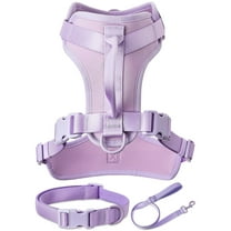 Vibrant Life Neoprene Cushioned Walking Dog Set, Adjustable Dog Collar and Harness with 6ft Leash, Lavender, Large