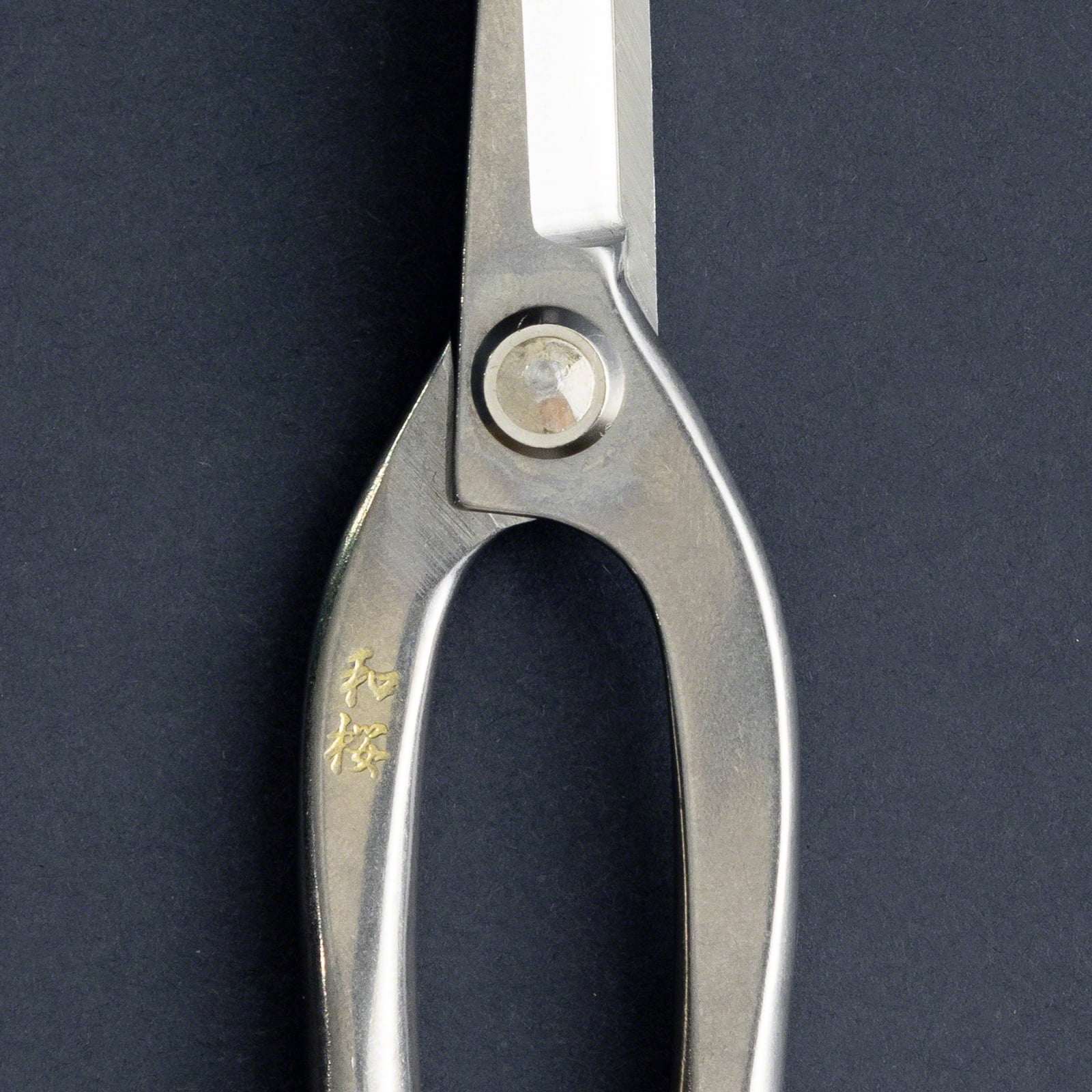 Wazakura Yasugi Stainless Steel Made in Japan Ashinaga Bonsai Scissors 8"