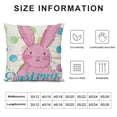 thumbnail image 5 of Easter Pillow Covers Set of , Bunny Decorations Holiday Farmhouse Spring Pillow Case for Home Sofa Couch Decor (Pink AA, 5 of 5