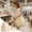 Beige, variant on Japceit Color Blocked Large Capacity Folding Shopping Bag,Portable Storage Bag,Waterproof And Cup Holder Shoulder Bag,For Shopping Picnic